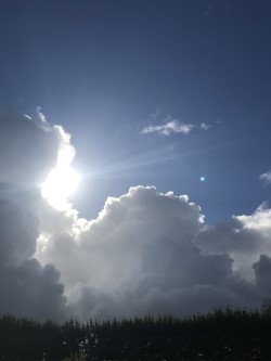 wolk